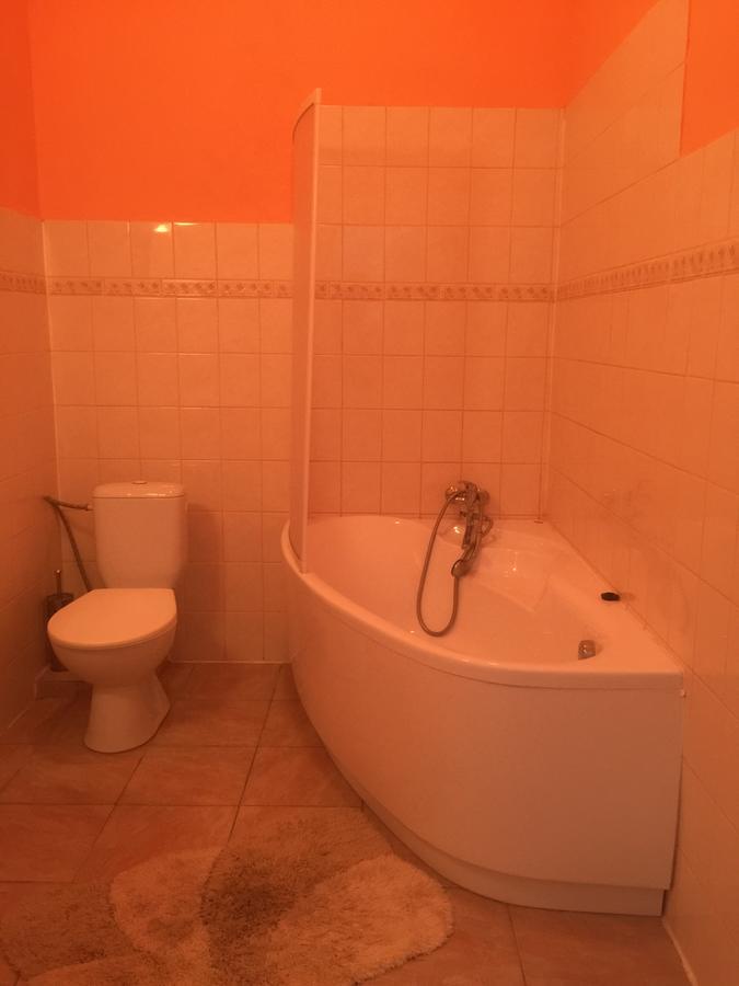 Hotel Dvorak Chrast Εξωτερικό φωτογραφία